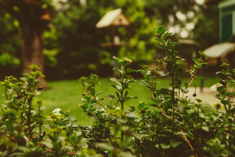 entretenir son jardin